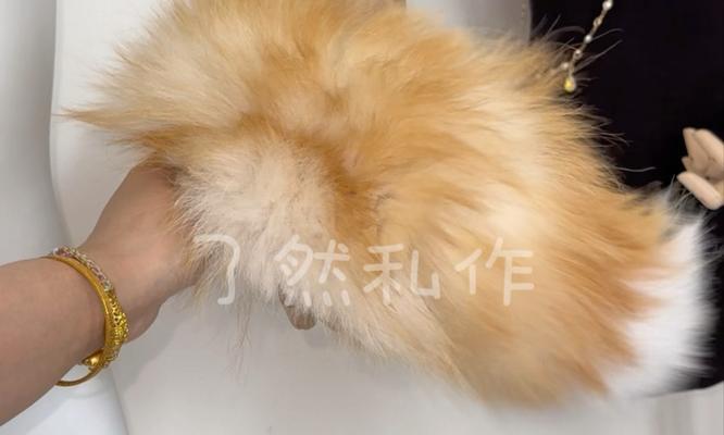 狗尾巴的功能与意义（揭秘狗狗语言中尾巴的秘密，探究狗尾巴与狗的情绪联系）(图3)