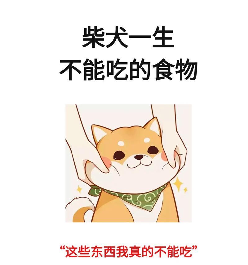 狗狗禁食之危险食物（切记不要喂狗狗这些食物，它们可能对狗狗造成严重的伤害）(图3)