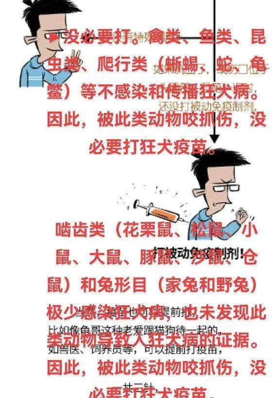 狗狗接种狂犬疫苗后多久起效？（揭秘狗狗接种狂犬疫苗的时间和效果）(图1)