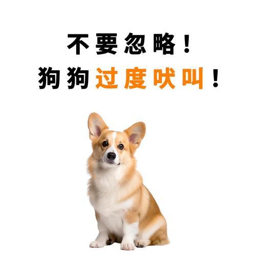 狗狗半夜不停叫，主人当心会误事（了解狗狗夜晚叫声的原因，保护家庭安全）(图1)