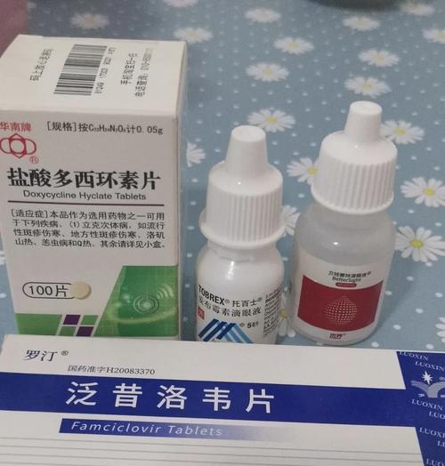 猫感冒治疗与预防方法（流鼻涕打喷嚏的猫如何有效治疗？合适的药物与护理方法来解决！）(图3)