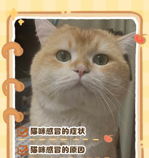 猫感冒治疗与预防方法（流鼻涕打喷嚏的猫如何有效治疗？合适的药物与护理方法来解决！）(图1)
