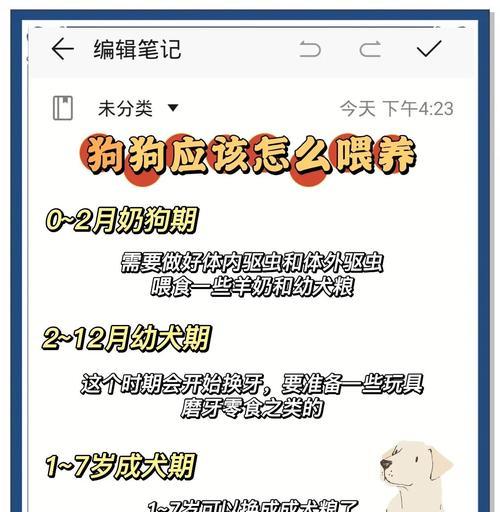 夏季狗狗喂养注意事项（让你的宠物夏日健康无忧）(图1)