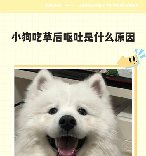 拉布拉多为什么会吃草？（探究拉布拉多吃草的原因和如何正确处理）(图3)