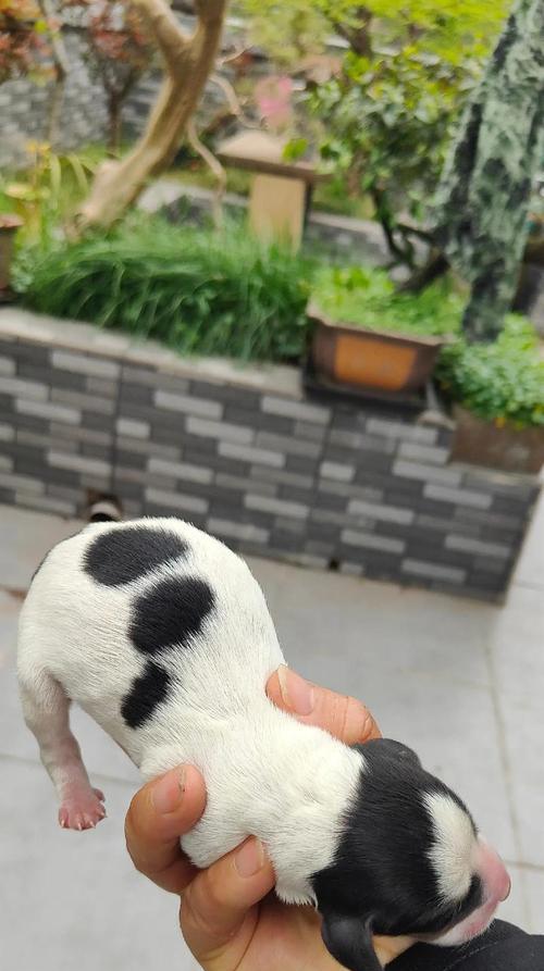 两种情况下需要注意的事项（两种情况下需要注意的事项）(图1)