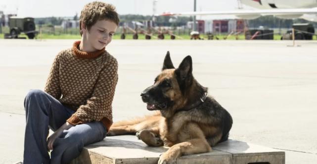 两种情况下需要注意的事项（两种情况下需要注意的事项）(图2)