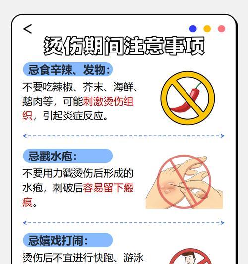 宠物受伤后怎么办？（以京巴烧伤和烫伤为例，详细解答）(图1)