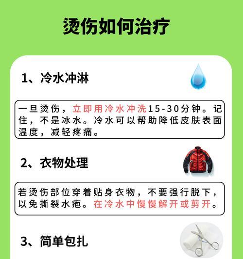 宠物受伤后怎么办？（以京巴烧伤和烫伤为例，详细解答）(图2)