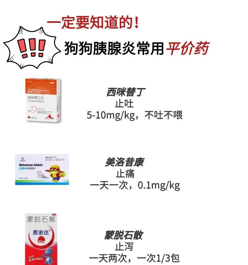 狗狗胰腺炎（综合治疗是关键，饮食和生活习惯也重要）(图3)