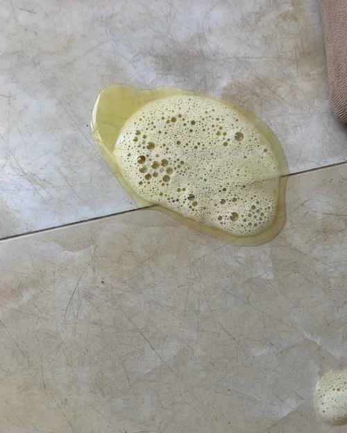 狗狗胰腺炎（综合治疗是关键，饮食和生活习惯也重要）(图1)