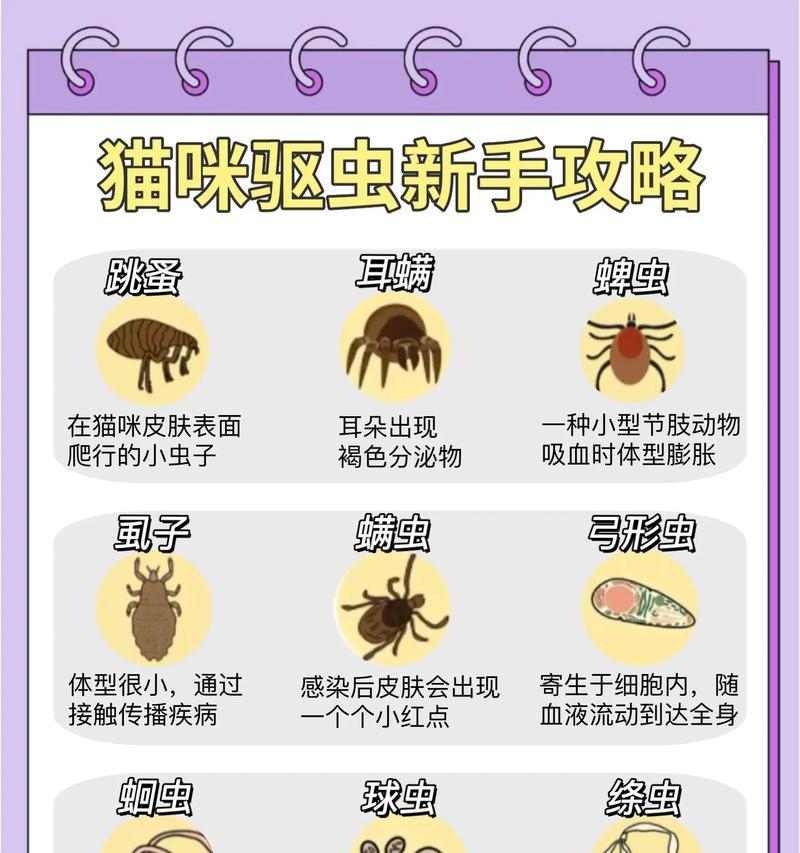 猫咪常规体内驱虫的必要性（了解猫咪体内驱虫的重要性及驱虫方法）(图3)