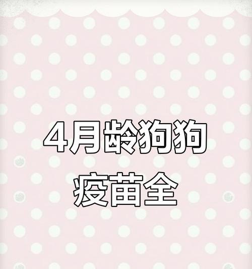 新买狗狗多久可以打疫苗？（宠物狗疫苗接种时间及重要性）(图2)