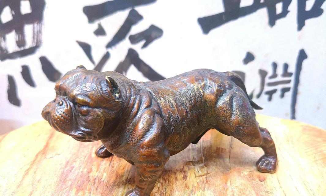 沙皮犬的魅力与特点（探索沙皮犬的外貌、性格和适应环境）(图3)