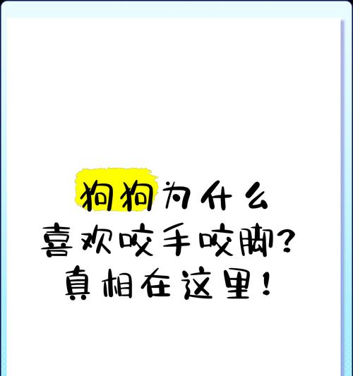 为什么我家狗总是被咬？（探究背后的原因以及如何保护我们的宠物）(图1)