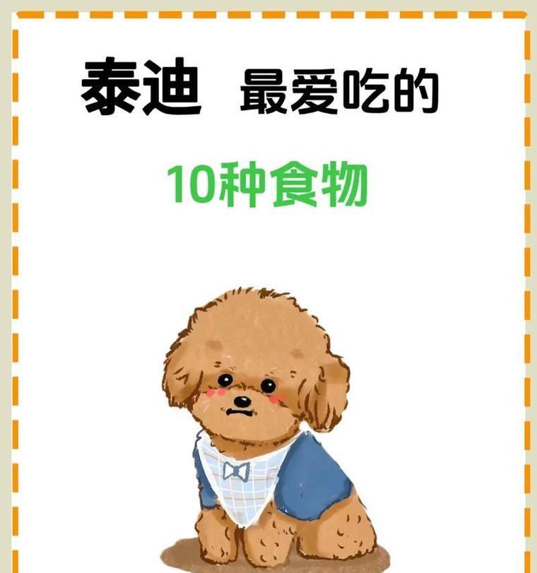 4个月泰迪宝宝的营养需求与饮食安排（从初期喂养到添加辅食，打造健康成长的宠物狗狗）(图3)