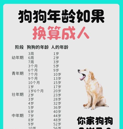 狗的免疫力（狗的抵抗力、健康状况和医学应用）(图2)