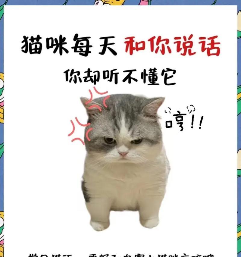 幼猫需要与人共眠的重要性（为什么幼猫必须与人一起睡觉？）(图1)