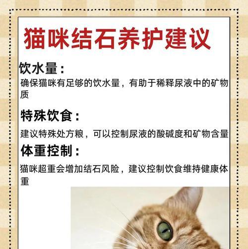 猫尿道结石治疗的方法和注意事项（了解猫尿道结石的成因和症状，合理选择治疗方法）(图2)