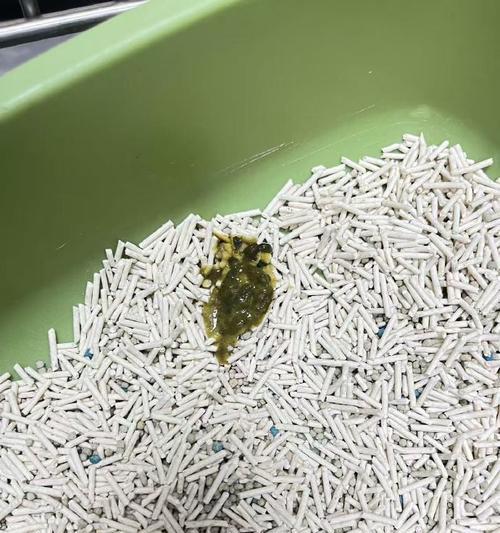 猫咪粪便常规检查的重要性（了解猫咪健康状况的窗口，常规检查粪便）(图1)