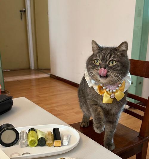 猫咪粪便常规检查的重要性（了解猫咪健康状况的窗口，常规检查粪便）(图2)