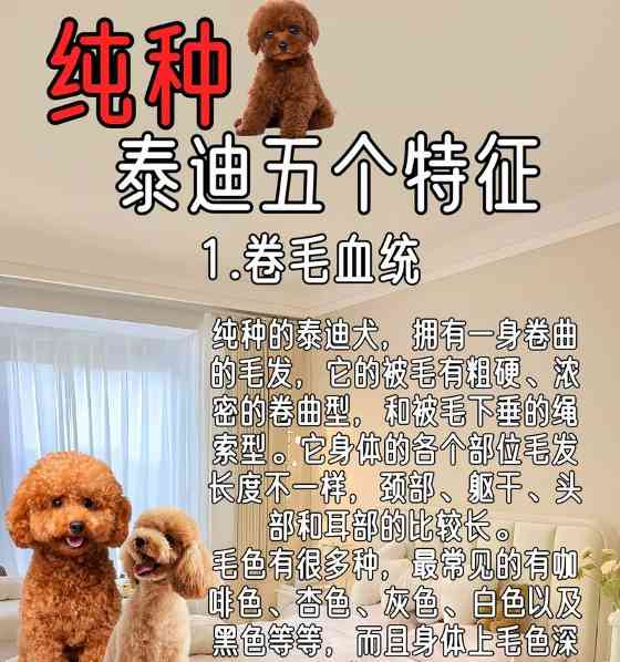 如何判断狗狗是否生病？（从日常行为到体征，教你识别狗狗的健康状态）(图1)