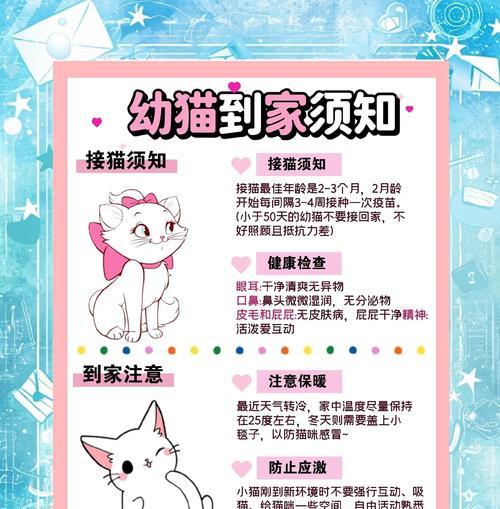 如何让小猫放松警惕（创造安全与舒适的环境是关键）(图3)