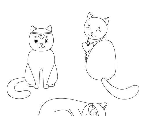 如何让小猫放松警惕（创造安全与舒适的环境是关键）(图2)