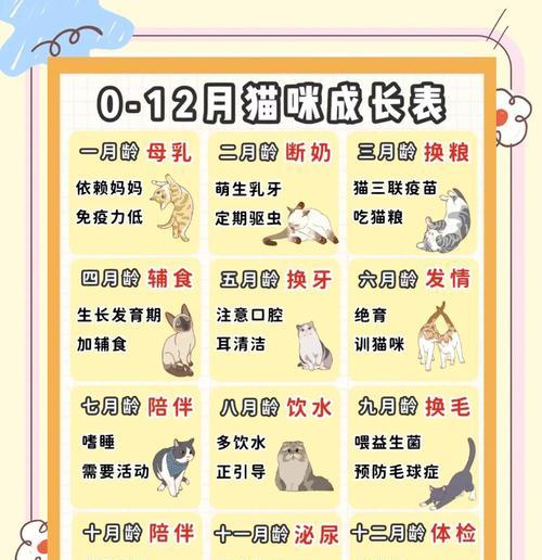 猫咪为何会踩奶？（探寻猫咪踩奶的原因和意义）(图3)