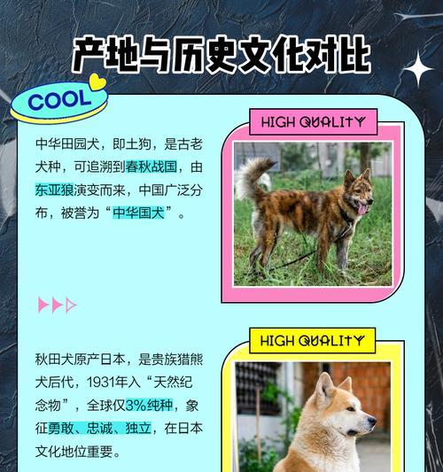 狗的祖先是豺还是狼？（探寻狗类起源之谜）(图3)