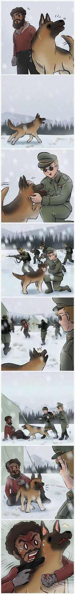 揭秘藏獒（了解这种守护犬的特性及适应环境的要素）(图2)