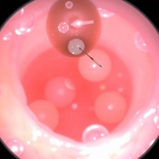 12月30日19:00 |《CAUVTH