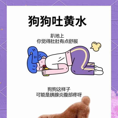 泰迪擦眼泪的正确方法（关爱宠物眼健康，从正确擦拭泰迪眼泪开始）(图2)