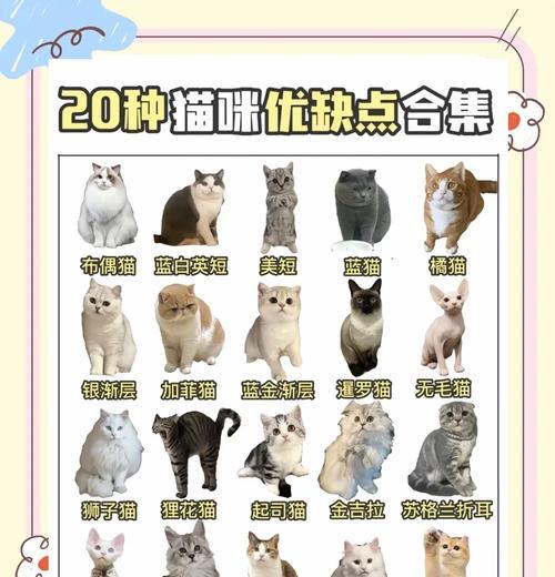 以英短蓝猫公猫能长到多少斤？（探寻英短蓝猫公猫的体重极限及影响因素）(图1)