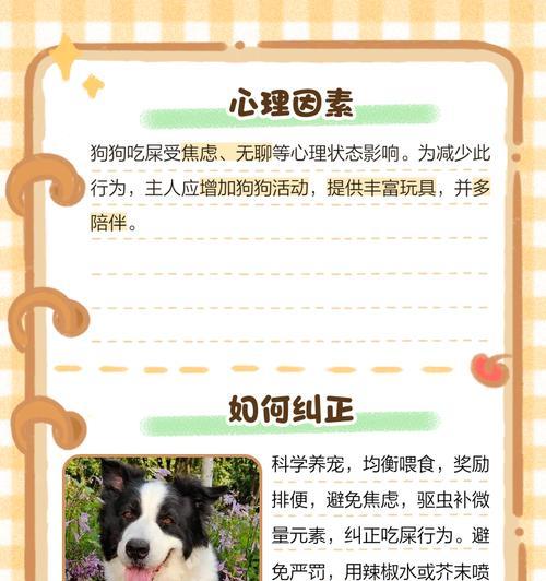 培养良好的食物共享习惯，让狗不再护食(图1)