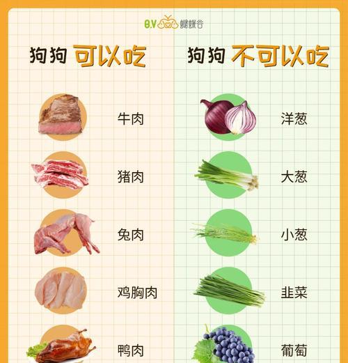 培养良好的食物共享习惯，让狗不再护食(图2)
