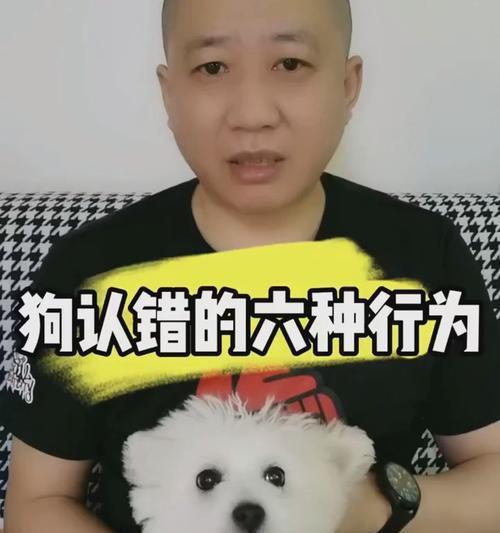 狗狗的诚实之心（揭开狗狗认错的神秘面纱）(图1)
