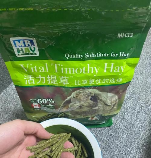 养龙猫的必备知识和准备事项（掌握龙猫饲养全科普，满满的干货为你准备！）(图1)