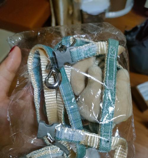 如何制作溜猫绳（简单易学的猫咪安全外出装备制作方法）(图3)