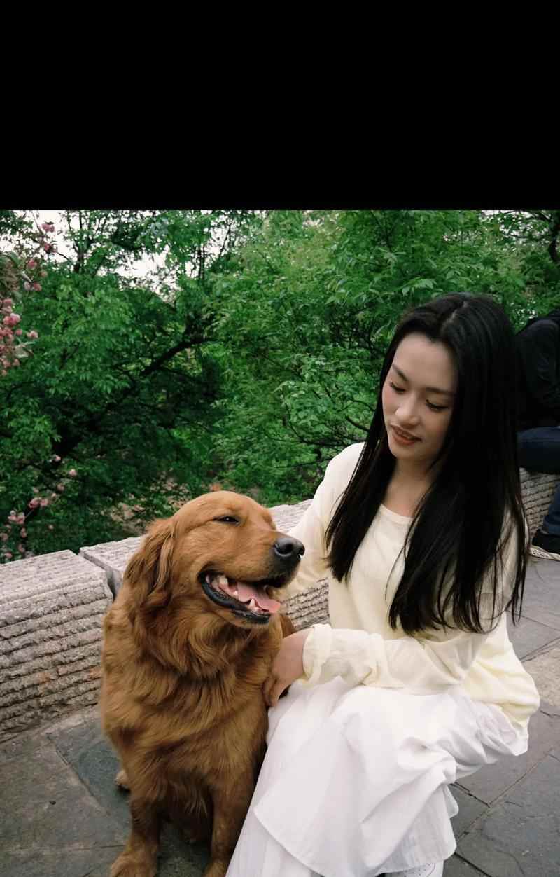 小金毛带出去的好处和注意事项（探究小金毛带出去的益处和必须留心的事项）(图2)