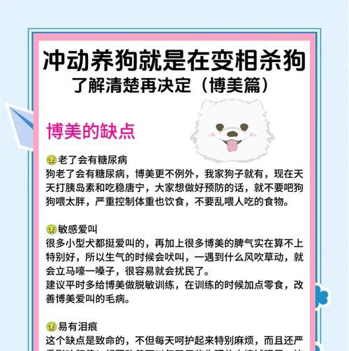 解决博美犬掉毛严重的方法（如何改善博美掉毛？）(图2)