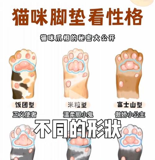 猫咪脚垫划伤了怎么办？（保护猫咪脚垫，让它们健康快乐！）(图1)