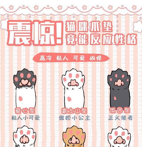 猫咪脚垫划伤了怎么办？（保护猫咪脚垫，让它们健康快乐！）(图3)