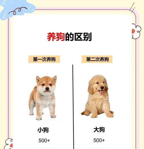 如何准确区分纯种狗和杂交狗的关键特征？（以狗怎么区分纯不纯，一起来看看吧！）(图2)