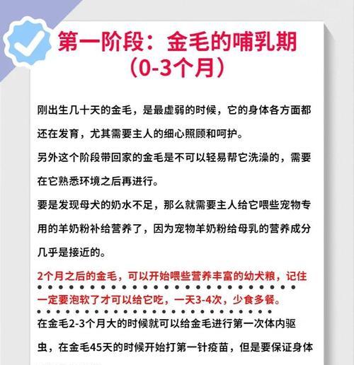 金毛成长的时间表（探寻金毛成长的奥秘） - 新生家伴