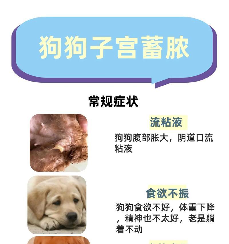 狗的羊水流多久？（揭秘狗宝宝的羊水流程与时长） - 新生家伴