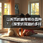 以折耳的猫有哪些品种？（探索折耳猫的多样性） - 新生家伴