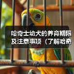 哈奇士幼犬的养育期限及注意事项（了解哈奇士幼犬的成长过程和关键期，助你做好犬儿的 - 新生家伴