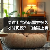给猫上完药后需要多久才能见效?(给猫上完药后的观察时间和注意事项) 给猫上完药后需要多久才能见效?(给猫上完药后的观察时间和注意事项)(图1)