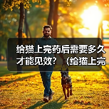 给猫上完药后需要多久才能见效？（给猫上完药后的观察时间和注意事项） - 新生家伴