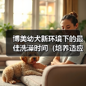 博美幼犬新环境下的最佳洗澡时间(培养适应性的关键) 博美幼犬新环境下的最佳洗澡时间(培养适应性的关键)(图3)